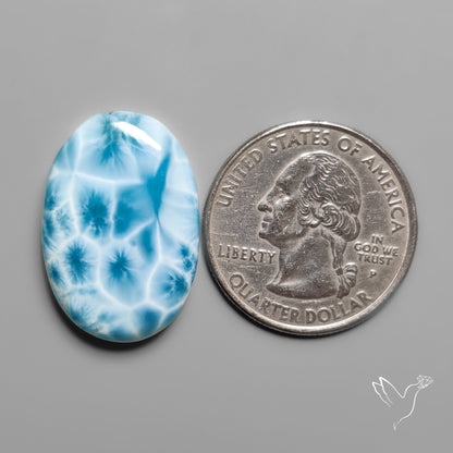 Larimar Cabochon