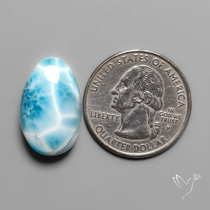 Larimar Cabochon
