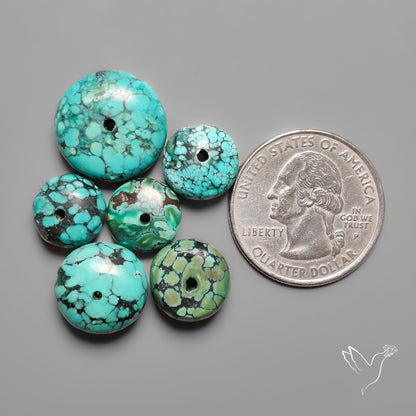 Drilled Hubei Turquoise Large Beads Lot