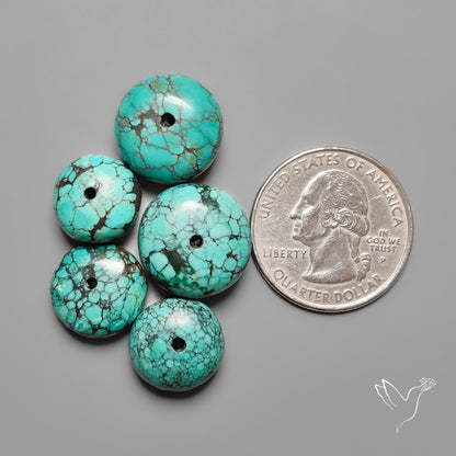 Drilled Hubei Turquoise Large Beads Lot