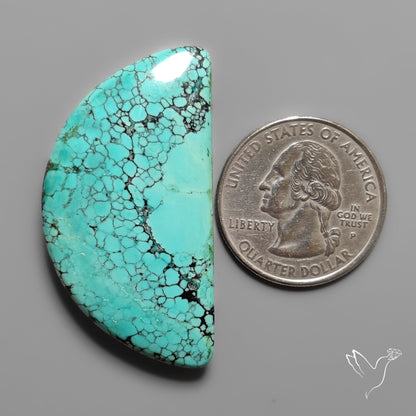 Spiderweb Hubei Turquoise Cabochon