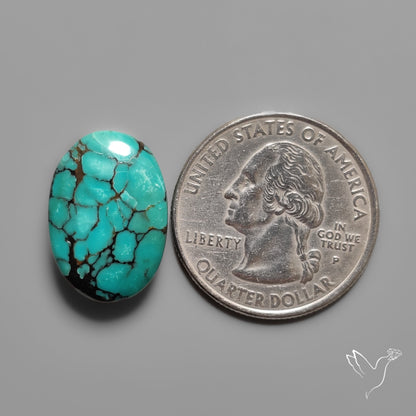 Hubei Turquoise Selected Cabochon