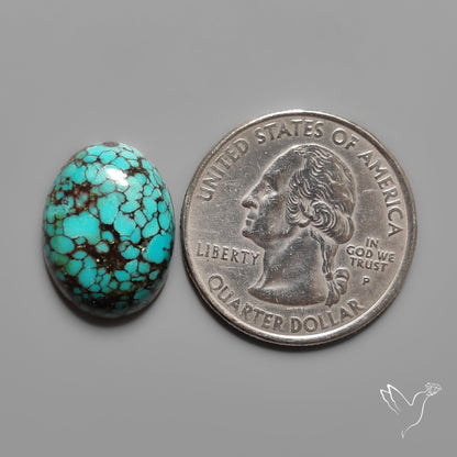 Hubei Turquoise Selected Cabochon