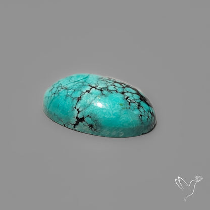 Hubei Turquoise Selected Cabochon