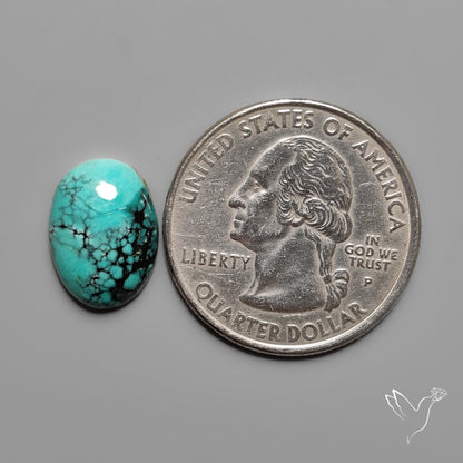 Hubei Turquoise Selected Cabochon