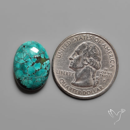 Hubei Turquoise Selected Cabochon