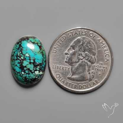 Hubei Turquoise Selected Cabochon