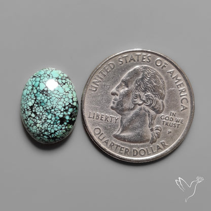 Hubei Turquoise Selected Cabochon