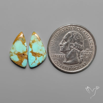 Number 8 Mines Turquoise Pair Rare