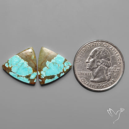 Number 8 Mines Turquoise Pair Rare