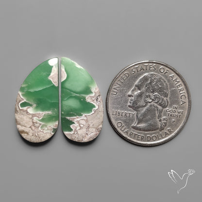 Lucin Variscites Pair