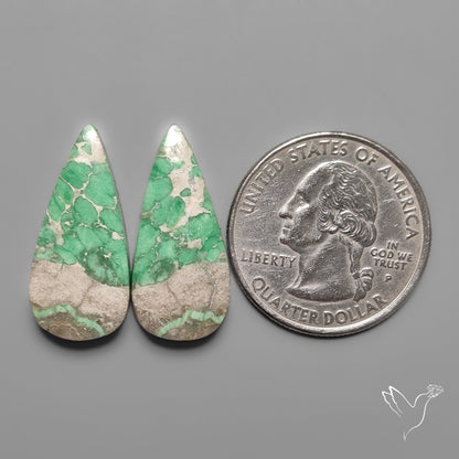 Lucin Variscites Pair