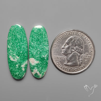 Lucin Variscites Pair