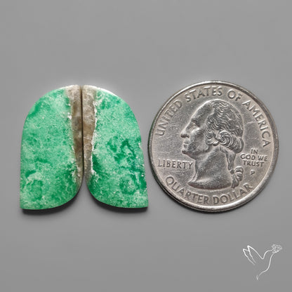 Lucin Variscites Pair