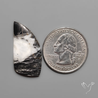 White Buffalo Turquoise Cabochon