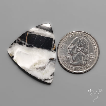 White Buffalo Turquoise Cabochon