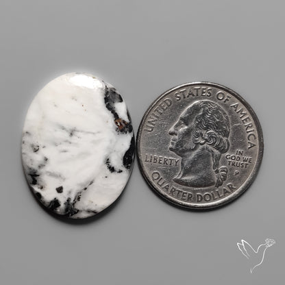 White Buffalo Turquoise Cabochon