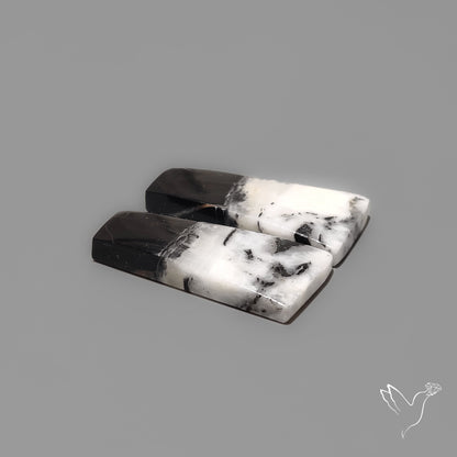 White Buffalo Turquoise Pair