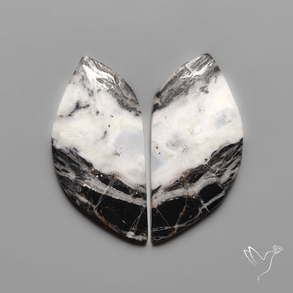 White Buffalo Turquoise Pair