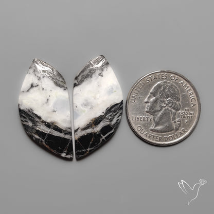 White Buffalo Turquoise Pair