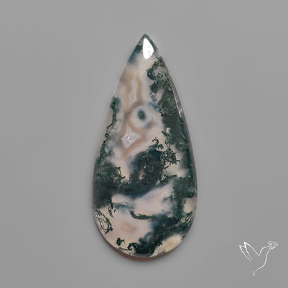 Moss Agate Cabochon