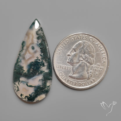 Moss Agate Cabochon