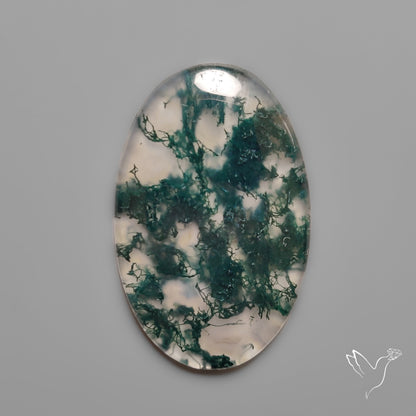 Moss Agate Cabochon