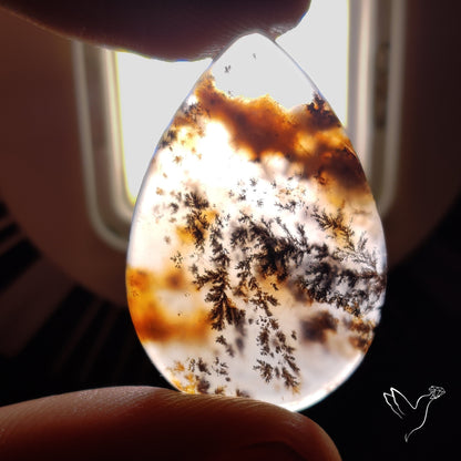 Russian Dendritic Agate Cabochon