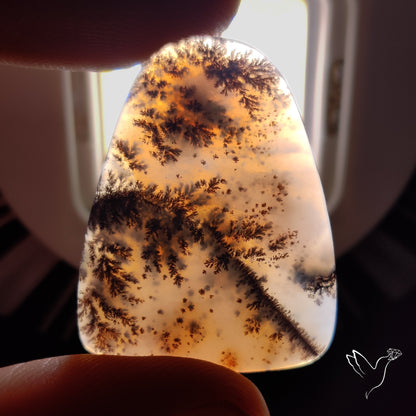Russian Dendritic Agate Cabochon