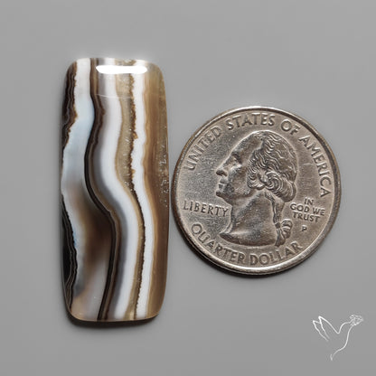 Tuxedo Banded Agate Cabochon