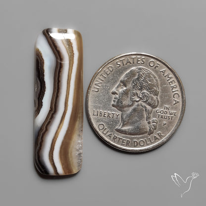Tuxedo Banded Agate Cabochon