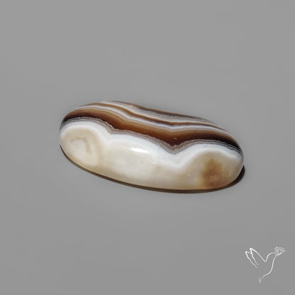 Tuxedo Banded Agate Cabochon