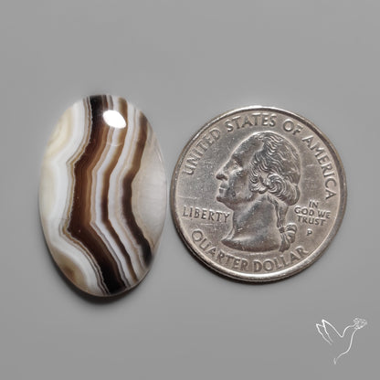 Tuxedo Banded Agate Cabochon