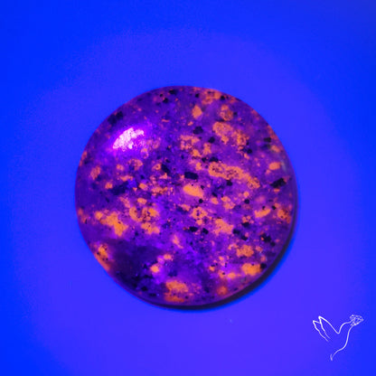 Yooperlite Cabochon UV Light Fluorescent
