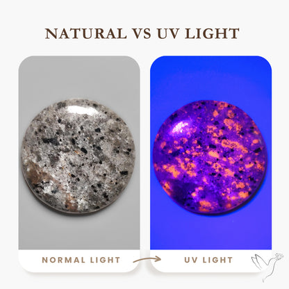 Yooperlite Cabochon UV Light Fluorescent