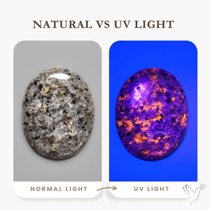 Yooperlite Cabochon UV Light Fluorescent
