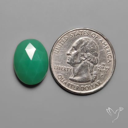 Rose Cut Gemmy Chrysoprase