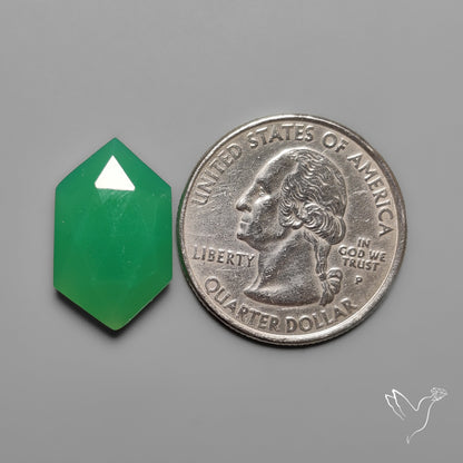 Rose Cut Gemmy Chrysoprase