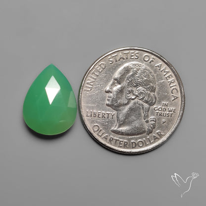 Rose Cut Gemmy Chrysoprase