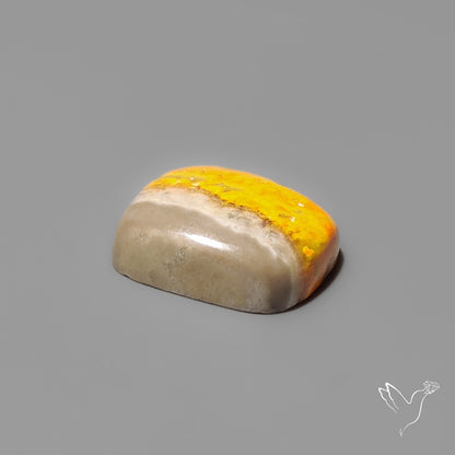 Bumble Bee Jasper Cabochon
