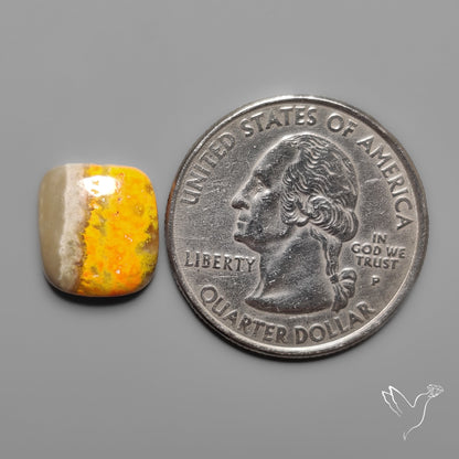 Bumble Bee Jasper Cabochon