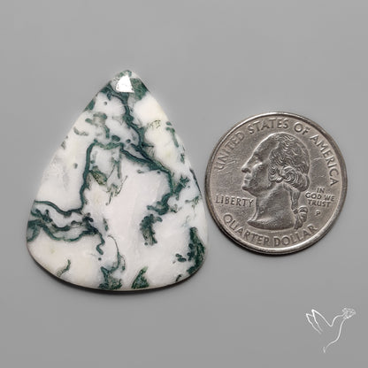 Tree Agate Cabochon