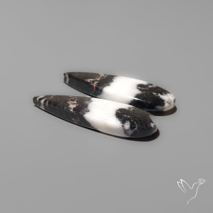 White Buffalo Turquoise Pair