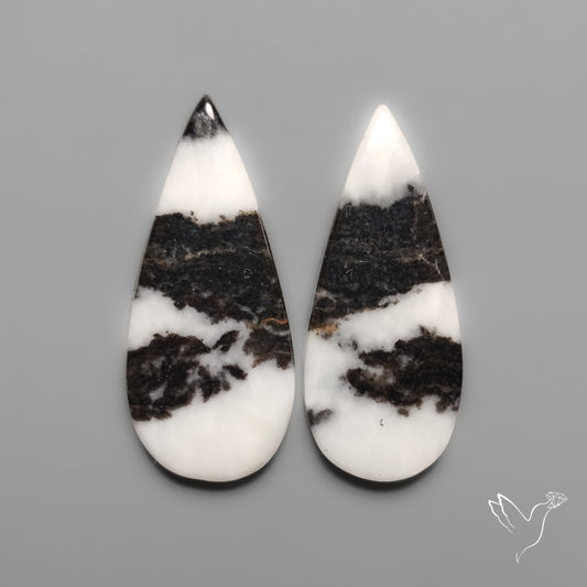 White Buffalo Turquoise Pair