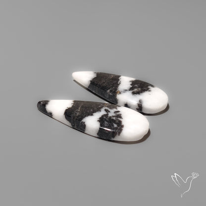 White Buffalo Turquoise Pair