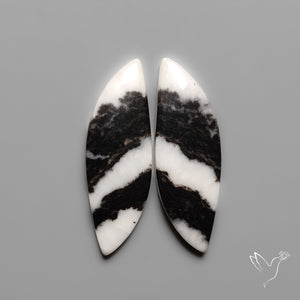 White Buffalo Turquoise Pair