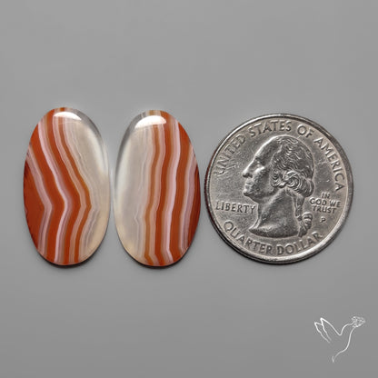 Lake Superior Agates Pair