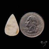 Agate Druzy