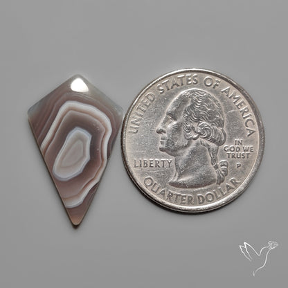 Botswana Agate Cabochon