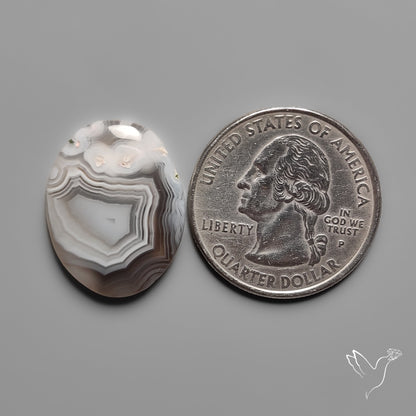 Botswana Agate Cabochon